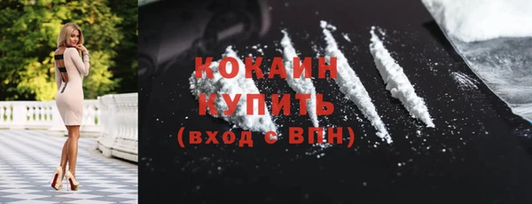 дмт Богородск