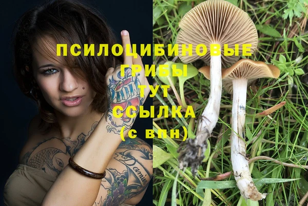 ALPHA PVP Белоозёрский