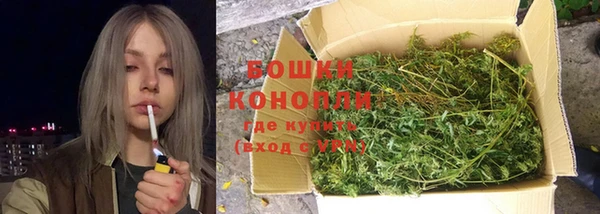 дмт Богородск